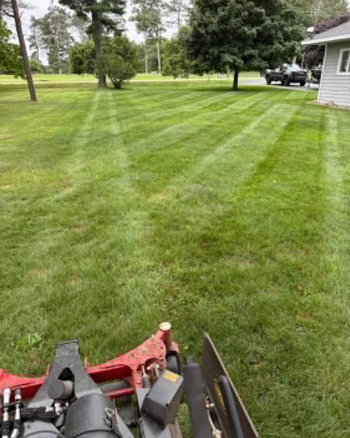 View over the deck of a stand-on mower across a large striped lawn with tall pines and a house at the edge