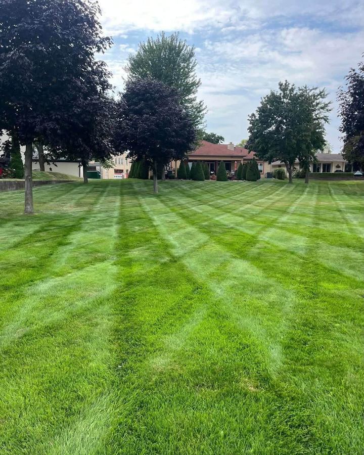 Wide lawn with straight mowing stripes running toward a line of trees and houses